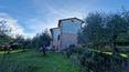 Toscana Immobiliare - Villa con giardino con numerose piante di olivo in vendita nella zona più privilegiata di Sinalunga.