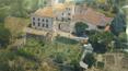 Toscana Immobiliare - Villa restaurata con oliveto