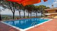 Toscana Immobiliare - The swimming pool is situated in the most panoramic point of the property