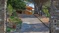 Toscana Immobiliare - The property is situated within a garden of approximately 4,000 sqm