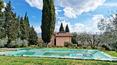 Toscana Immobiliare - La proprietà si compone della villa, un capanno per gli attrezzi, una capanna in legno e una piscina