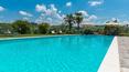 Toscana Immobiliare - The garden surrounding the property houses a beautiful swimming pool