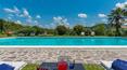 Toscana Immobiliare - Le jardin qui entoure la propriété abrite une belle piscine