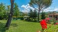 Toscana Immobiliare - La proprietà gode di una bellissima vista sui boschi e sulle colline circostanti