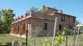 Toscana Immobiliare - Masía reformada con piscina y viñedo en Montepulciano