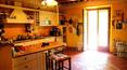 Toscana Immobiliare - Prestigiosa casa de campo con jardín, piscina y viñedo en venta en Toscana