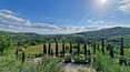 Toscana Immobiliare - Il casale è circondato da 4 ettari di terreno con giardino e uliveto e una piscina con vista sulle colline circostanti