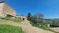 Toscana Immobiliare - Ferme avec 30 ha de terrain à Trequanda Siena