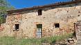 Toscana Immobiliare - Propriété avec ferme, annexes et 30 ha de terrain avec bois, oliveraies et terres arables à vendre en Toscane