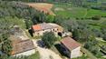 Toscana Immobiliare - Property with farmhouse, annexes and 30 ha of land with woodland, olive grove and arable land for sale in Tuscany