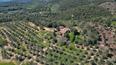 Toscana Immobiliare - The property consists of the main farmhouse, another adjacent building and a shed