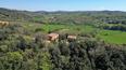 Toscana Immobiliare - The land covers about 30 hectares, divided into mixed woodland, olive groves and arable land