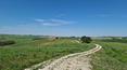 Toscana Immobiliare - Property to be restored with 160 ha of woodland and arable land for sale in Val d'Orcia