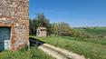 Toscana Immobiliare - Propriété à transformer en centre d'hébergement ou en résidence privée