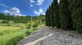 Toscana Immobiliare - Portion of farmhouse with garden and olive grove for sale in Serravalle Pistoiese