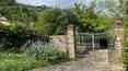 Toscana Immobiliare - Ferme avec jardin et oliveraie à vendre à Serravalle Pistoiese