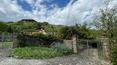 Toscana Immobiliare -  Porzione di casale con giardino e oliveto in vendita in zona panoramica in Toscana