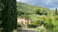 Toscana Immobiliare - Porción de masía con jardín y olivar en venta en una zona panorámica de la Toscana