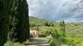 Toscana Immobiliare - Teil eines Bauernhauses mit Garten und Olivenhain in einer panoramischen Gegend in der Toskana zu verkaufen