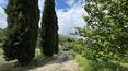 Toscana Immobiliare - Partie de ferme avec jardin et oliveraie à vendre dans une zone panoramique en Toscane