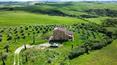 Toscana Immobiliare - Farmhouse for sale in Montalcino Siena Tuscany