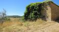 Toscana Immobiliare - annesso rurale da ristrutturare panorama del casale toscano con uliveto di proprietà e vista sulla val di chiana