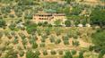 Toscana Immobiliare - vista del casale in pietra situato in posizione panoramica e dominante con vista sulla val d\'orcia; 1200 olivi di proprietà inclusi in 6 ettari di pertinenza