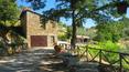 Toscana Immobiliare - azienda agrituristica in vendita a Trequanda provincia di Siena, divisa in 3 unità indipendenti è circondata da oliveti e giardini