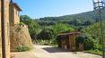 Toscana Immobiliare - scorcio del giardino con vista sulle colline circostanti e con annessi in pietra