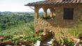 Toscana Immobiliare - agriturismo in pietra in vendita a Trequanda, Siena; con 1200 piante d\'olivo di proprieta e vista sulla val d\'orcia