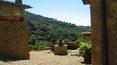 Toscana Immobiliare - particolare del giardino di proprietà del casale:pozzo in pietra
