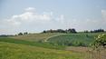Toscana Immobiliare - Montepulciano Tuscany wide farm for sale in panoramic spot