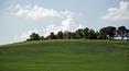 Toscana Immobiliare - farmhouse to restore for sale with property land and annexes