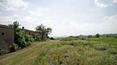 Toscana Immobiliare - farmhouse on sale to be restored is a really opportunities for an investment