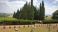 Toscana Immobiliare - giardino con vista; interni della villa finemente arredati, affrescati; proprietà unica di prestigio vicino firenze: villa del 500 con casa colonica 10 ha di terreno con uliveti, vigneti, bosco e giardini; lusso, prestigio proprietà unica posizione di cam