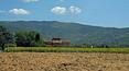 Toscana Immobiliare - tuscan landscape; farmhouse for sale  in Cortona, Tuscany