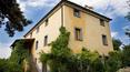 Toscana Immobiliare - great villa on sale Siena tuscany,meravigliosa villa vendesi Siena provincia