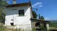 Toscana Immobiliare - italian property on sale