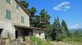 Toscana Immobiliare - For sale partially restored farmhouse near Monte san Savino