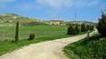 Toscana Immobiliare - casale con terreno in vendita ad Asciano, Siena, Toscana