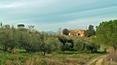 Toscana Immobiliare - Podere da ristrutturare con terreno in vendita ad Asciano, Siena