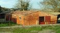 Toscana Immobiliare - Borgo da ristrutturare con terreno in vendita a Siena, Asciano