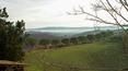 Toscana Immobiliare - vista dal casolare; casale in mattoni in vendita ad Asciano, siena, da ristrutturare con annessi