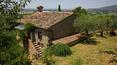 Toscana Immobiliare - tuscan country house for sale