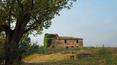 Toscana Immobiliare - Between Umbria and Tuscany podere for sale