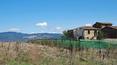 Toscana Immobiliare - In Cortona, Tuscany stands this to be restored country house with one outbuilding