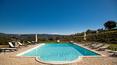 Toscana Immobiliare - swimming pool; Casolare in pietra con piscina, Jacuzzi, dependance, oliveto, terreni di proprietà in posizione tranquilla e panoramica a trequanda, Siena, Toscana