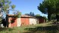 Toscana Immobiliare - Casa rural con jardín y dependencias en venta en Asciano, Toscana