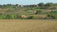 Toscana Immobiliare - panorama, casale in campagna Toscana vendesi,for sale on the land country house