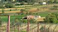 Toscana Immobiliare - view of the house;for sale in Montepulciano land house on the land with cultivations